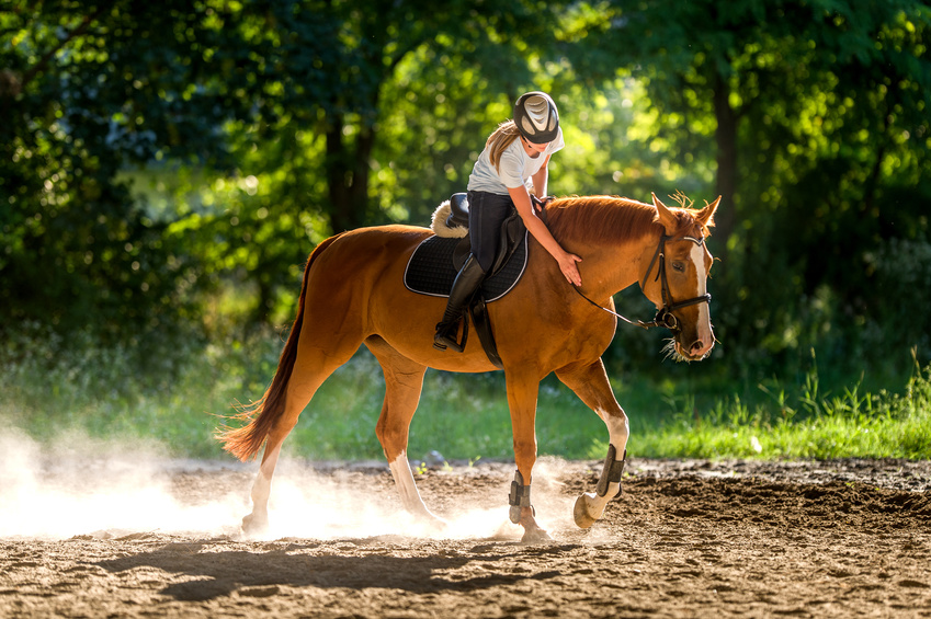 Bei Arthrose lange Schritt reiten