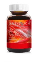 Produktbild Nr. 40 Roter Flamingo
