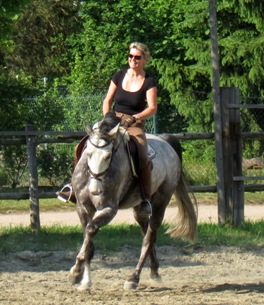 Pferd nervös schreckhaft ängstlich